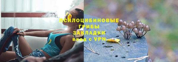 молекула духа Михайловск