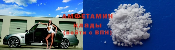 молекула духа Михайловск