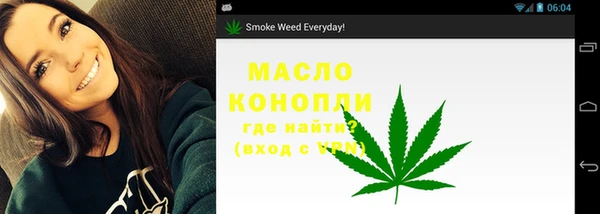 молекула духа Михайловск
