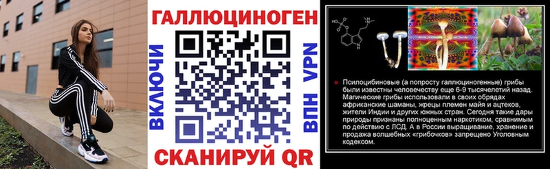 Купить закладки  Очёр  Псилоцибиновые грибы MAGIC MUSHROOMS 